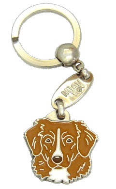NOVA SCOTIA DUCK TOLLING RETRIEVER-TOLLER - pet ID tag, dog ID tags, pet tags, personalized pet tags MjavHov - engraved pet tags online